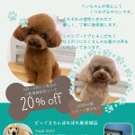 期間限定で新キャンペーン開始いたします。