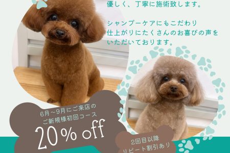 期間限定で新キャンペーン開始いたします。